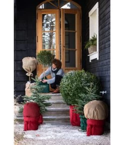 Dehner Pflanzen-Isolierfolie -Gartenmöbelgeschäft 6798813 WE MO 002 DehnerWinterschutzVliesRot