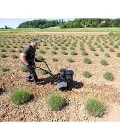 AL-KO Benzin-Motorhacke MH 540 -Gartenmöbelgeschäft 6943245 WE MO 003 MotorhackeMH540