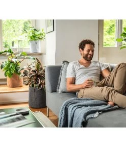 LECHUZA® TRENDCOVER Felt, All-in-One Set 7 LECHUZA® TRENDCOVER Felt, All-in-One Set -Gartenmöbelgeschäft 6946891 6946933 6947097 6947139 WE MO 001 Trendcover