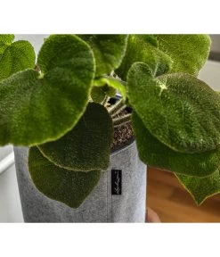 LECHUZA® TRENDCOVER Felt, All-in-One Set 8 LECHUZA® TRENDCOVER Felt, All-in-One Set -Gartenmöbelgeschäft 6946941 6947121 WE MO 002 TrendcoverFelthellgrau