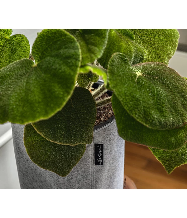 LECHUZA® TRENDCOVER Felt, All-in-One Set 4 LECHUZA® TRENDCOVER Felt, All-in-One Set – Bild 4