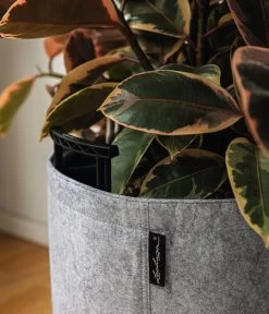 LECHUZA® TRENDCOVER Felt, All-in-One Set 9 LECHUZA® TRENDCOVER Felt, All-in-One Set -Gartenmöbelgeschäft 6947121 6946933 WE MO 001 TrendcoverFeltDunkelgrau