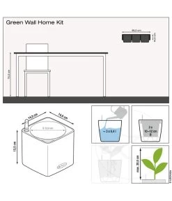LECHUZA® CUBE Color Green Wall Home Kit, Ca. B48/H14/T15 Cm -Gartenmöbelgeschäft 6963037 6963045 WE FS 003 GreenWallHomeKit