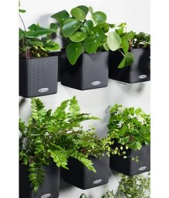 LECHUZA® CUBE Color Green Wall Home Kit, Ca. B48/H14/T15 Cm -Gartenmöbelgeschäft 6963045 WE MO 001 CUBEColorGreenWallHomeKitSchiefergrau