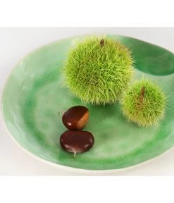 Esskastanie -Gartenmöbelgeschäft 7091580 PR DE 002 CastaneaSativaEsskastanieDehnerExpressHerzig