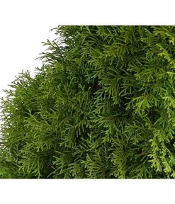 7 Meter Lebensbaum 'Smaragd', 14 X Ca. 125-150 Cm -Gartenmöbelgeschäft 7513534 WE DE 001 ThujaLebensbaumOccidentalisSmaragd20LDehnerExpressHerzig