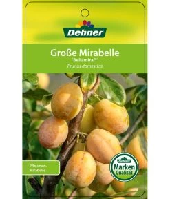 Dehner Mirabelle 'Bellamira' -Gartenmöbelgeschäft 7611163 GrosseMirabelleBellamira Etikett 1