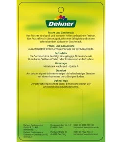 Sommerbirne 'Clapps Liebling' -Gartenmöbelgeschäft 7625494 SommerbirneClappsLiebling Etikett 2