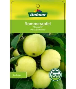 Sommerapfel 'Klarapfel', Weiß -Gartenmöbelgeschäft 7701386 SommerapfelKlarapfel Etikett 1