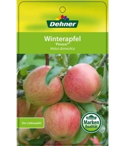 Winterapfel 'Pinova' -Gartenmöbelgeschäft 7729361 WinterapfelPinova Etikett 1