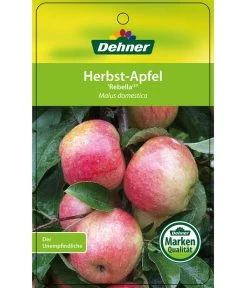 Herbstapfel 'Rebella' -Gartenmöbelgeschäft 7737075 HerbstapfelRebella Etikett 1