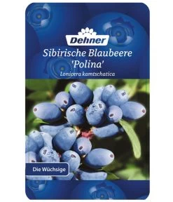 Maibeere 10 Maibeere -Gartenmöbelgeschäft 7756448 SibirischeBlaubeerePolina Etikett 1
