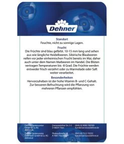 Maibeere 11 Maibeere -Gartenmöbelgeschäft 7756448 SibirischeBlaubeerePolina Etikett 2