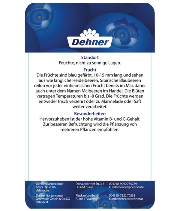 Maibeere 6 Maibeere – Bild 6