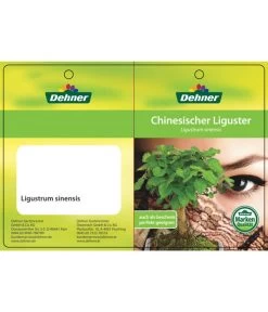 Bonsai Chinesischer Liguster - Ligustrum Sinensis, Kugelförmig, 6 Jahre 8 Bonsai Chinesischer Liguster - Ligustrum Sinensis, Kugelförmig, 6 Jahre -Gartenmöbelgeschäft 7976947 ChinesischerLigusterEtikett1