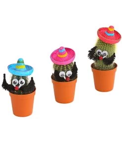 Kaktus Mit Sombrero - Cactaceae, Verschiedene Sorten -Gartenmöbelgeschäft 7977291 PR FS 001 KakteenMitSombreroRetDehnerExpressHerzig