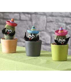 Kaktus Mit Sombrero - Cactaceae, Verschiedene Sorten -Gartenmöbelgeschäft 7977291 WE MO 001 KakteenMitSombreroDehnerExpressHerzig