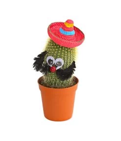 Kaktus Mit Sombrero - Cactaceae, Verschiedene Sorten -Gartenmöbelgeschäft 7977291 WE PR 003 KaktusRotMitSombreroDehnerExpressHerzig