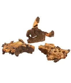 Mopani-Wurzel, 3er-Set