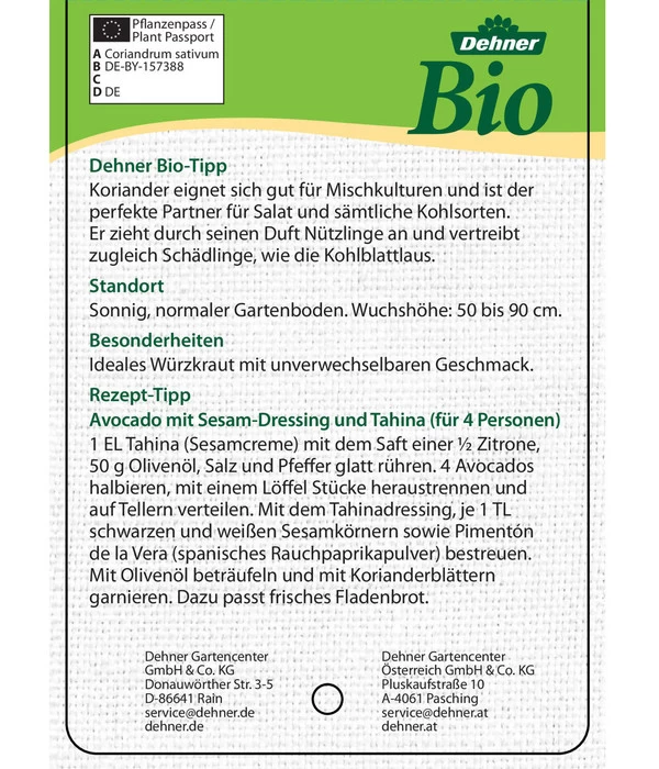 Bioland Koriander 3 Bioland Koriander – Bild 3