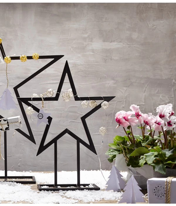 Alpenveilchen, Gefranst 12 Alpenveilchen, Gefranst – Bild 12