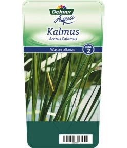 Dehner Kalmus -Gartenmöbelgeschäft 8310104 KalmusAcorusCalamus Etikett 1
