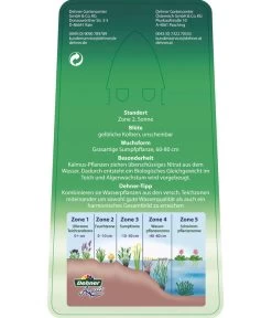 Dehner Kalmus -Gartenmöbelgeschäft 8310104 KalmusAcorusCalamus Etikett 2