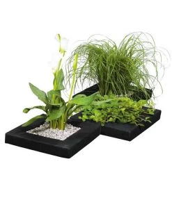 Dehner Treibring Für Wasserpflanzen