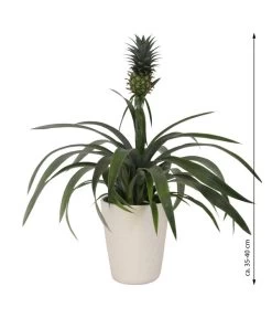 Ananaspflanze - Ananas Comosus, In Keramik -Gartenmöbelgeschäft 8627978 WE FS 003 AnanaspflanzeInKeramik