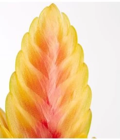 Vriesea - Bromelia Cultivars, Verschiedene Sorten -Gartenmöbelgeschäft 8774564 PR DE 002 VriesiaGelbOrangeMixT9DehnerExpressZS