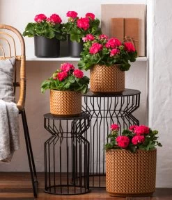 Dehner Keramik-Jardiniere Thies, Oval, Gelb, Ca. B26/H25/T12 Cm -Gartenmöbelgeschäft 8813347 6895643 WE MO 001 GeranieRosenmaedchen