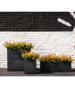 Portulakröschen -Gartenmöbelgeschäft 8817199 8827271 WE MO 001 PortulacaT11Portulakroeschen