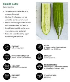 Bioland Gurke, Veredelt -Gartenmöbelgeschäft 8830853 WE IG 001 BiolandGurke