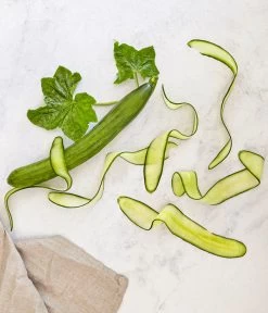 Bioland Gurke, Veredelt -Gartenmöbelgeschäft 8830853 WE MO 001 SchlangengurkeveredeltRenner