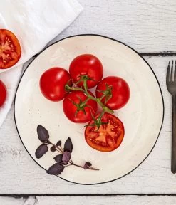 Bioland Buschtomate -Gartenmöbelgeschäft 8831968 WE MO 001 BiolandBuschtomate