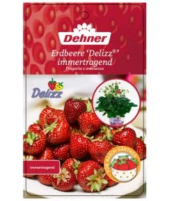 Erdbeere 'Delizz' -Gartenmöbelgeschäft 8840274 ErdbeereDelizzImmertragend Etikett 1
