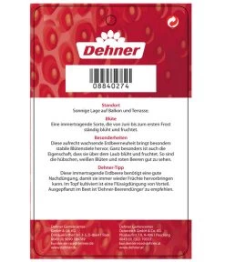 Erdbeere 'Delizz' -Gartenmöbelgeschäft 8840274 ErdbeereDelizzImmertragend Etikett 2