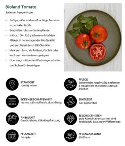 Bioland Tomate, Rundfruchtig -Gartenmöbelgeschäft 8842619 WE IG 001 BiolandTomate