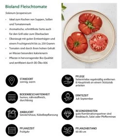 Bioland Fleischtomate -Gartenmöbelgeschäft 8842627 WE IG 001 BiolandFleischtomate