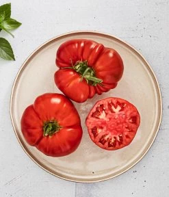 Bioland Fleischtomate -Gartenmöbelgeschäft 8842627 WE MO 001 BiolandFleischtomate