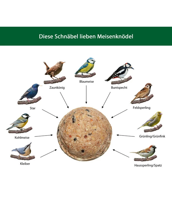 Dehner Natura Meisen-Knödel 4 Dehner Natura Meisen-Knödel – Bild 4