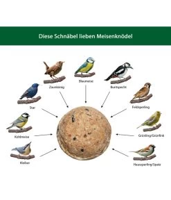 Dehner Natura Meisen-Knödel, Ohne Netz -Gartenmöbelgeschäft WE IG 001 DehnerNaturaWelcherVogelfrisstMeisenknoedel