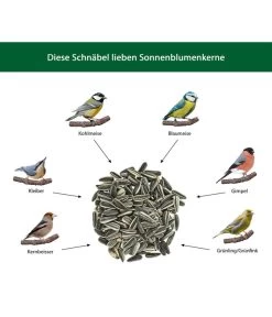 Dehner Natura Wildvogelfutter Sonnenblumenkerne, 5 L -Gartenmöbelgeschäft WE IG 001 DehnerNaturaWelcherVogelfrisstSonnenblumenkerne