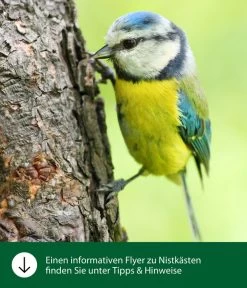 Dehner Natura Nistkasten San Marino, Ca. B18/H25/T17,5 Cm -Gartenmöbelgeschäft WE IG FlyergrafikDehnerNaturaNistkaesten 1